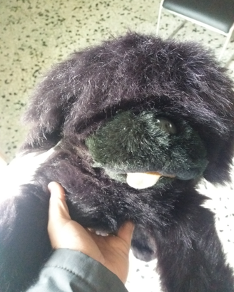 Peluche cane terranova