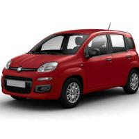 FIAT Panda 1.0 FireFly S&S Hybrid Nuovo Modello