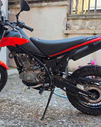 Beta Urban 200