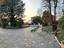 Immagine 19