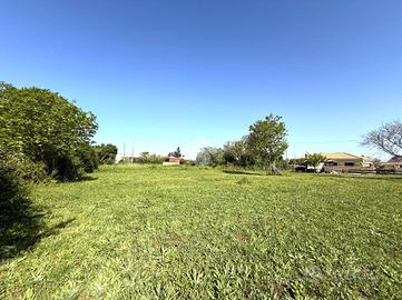 TER. RESIDENZIALE A NETTUNO