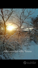 Casa indipendente su 3 lati