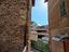 Immagine 7