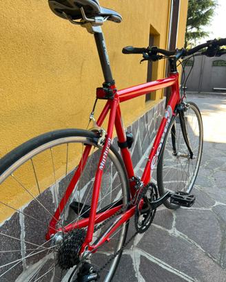 Bicicletta da uomo Coppi