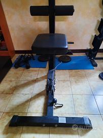 palestra casalinga 