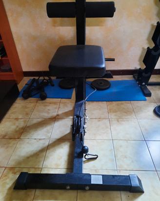 palestra casalinga 