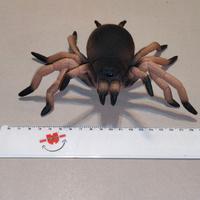 Ragno Spider Lycosa Narbonensis Action Figure