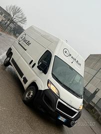 Peugeot boxer 2019