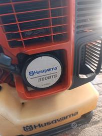 soffiatore professionale 