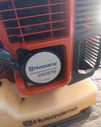 soffiatore professionale 