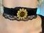 Immagine 5