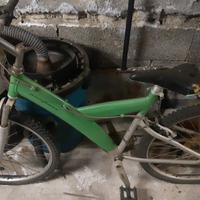 Coppia di biciclette