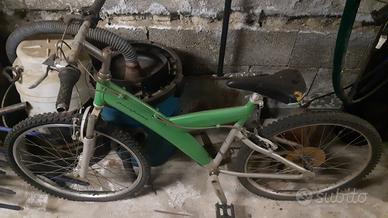 Coppia di biciclette