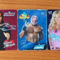 WRESTLING WWE SMACKDOWN! & RAW Figurine Rigide
