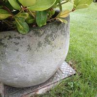 vaso giardino