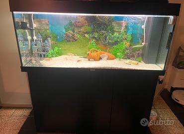 Acquario 240 litri juwel