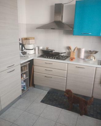 cucina completa di elettrodomestici