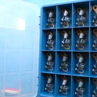 PUNTINE PLATINATE, CAT. DISTR., CLACSON, MAN. 500