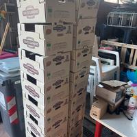 Cassettine di cartone