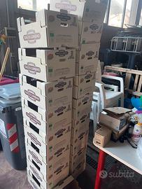 Cassettine di cartone