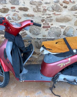 Piaggio free 50