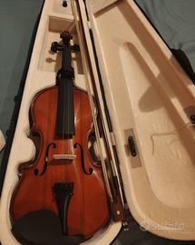 violino 