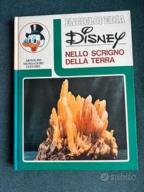 Enciclopedia Disney “Nello scrigno della terra”