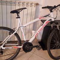 Bicicletta uomo