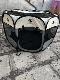 Box cani indoor