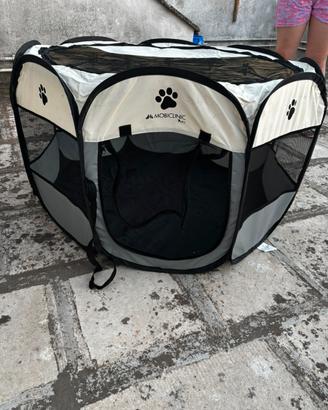 Box cani indoor