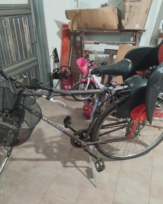 Bicicletta uomo