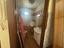 Immagine 26