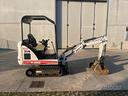 bobcat-319