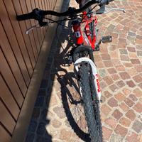 Bicicletta da bambino