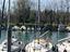 Immagine 6