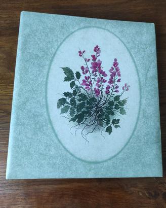 Album portafoto con fogli in plastica ad anelli