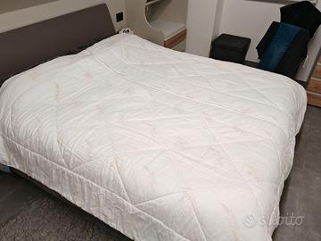 Trapunta Wenatex 220 x 240 matrimoniale divisibile