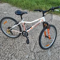 bicicletta da 24