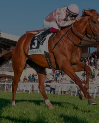 Fattrice A.A fondo inglese