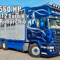 Scania R560 Animali Vivi + Rimorchio