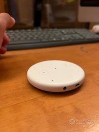 Echo input