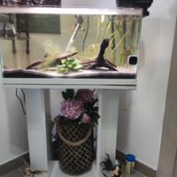 ACQUARIO 60 LT +MOBILE