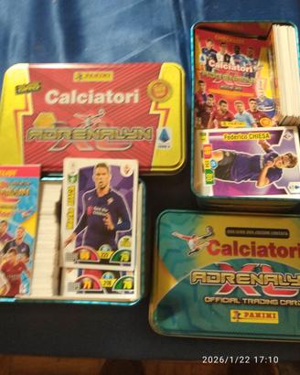 Carte Panini Adrenalyn XL