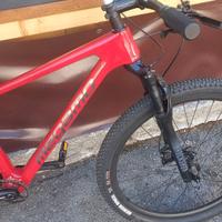 MTB 29 carbonio 