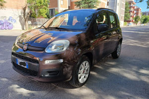 Fiat panda natural power