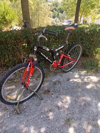 Bicicletta Mountain bike 