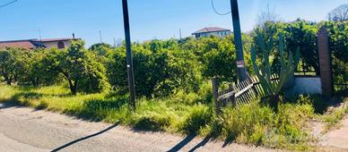 Terreno Agricolo 2590 mq a 400 métri dal mare