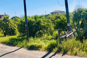 Terreno Agricolo 2590 mq a 400 métri dal mare