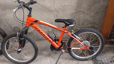 Bicicletta bambino 5-9 anni