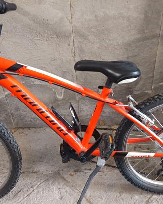 Bicicletta bambino 5-9 anni